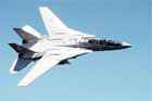 F-14 Photo