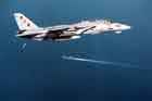 F-14 Photo