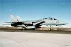 F-14 Photo