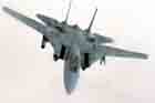 F-14 Photo