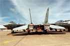 F-14 Photo