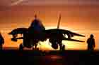 F-14 Photo