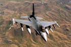 F-16 Photo