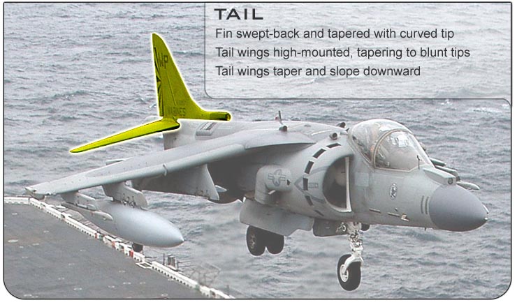 AV-8B Tail