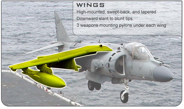 AV-8B Wings