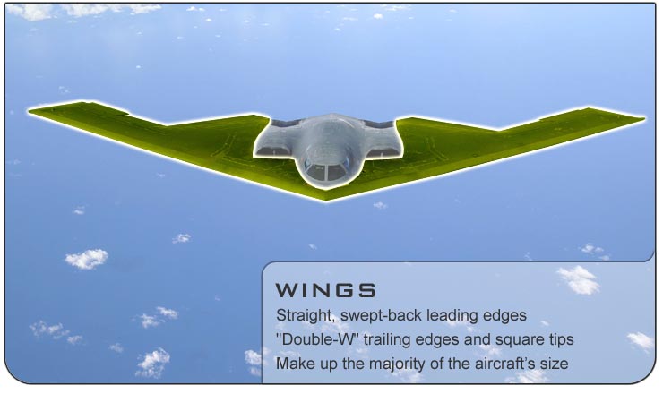 B-2 Wings