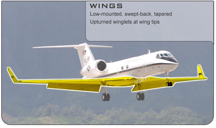 C-20 Wings