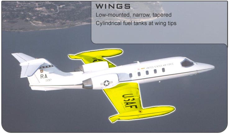 C-21 Wings