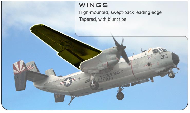 C-2 Wings