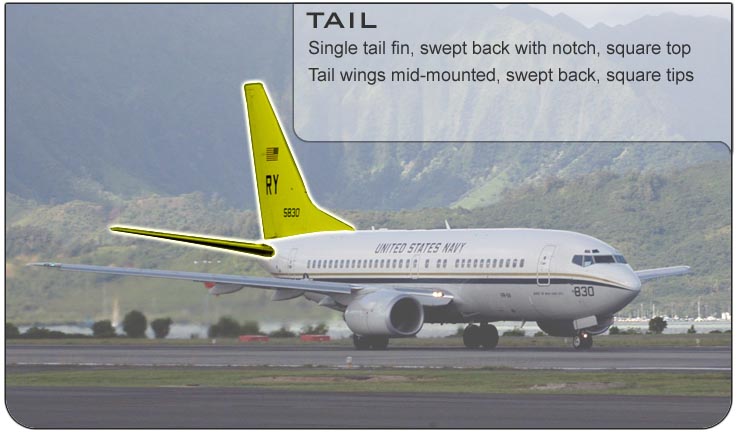 C-40 Tail