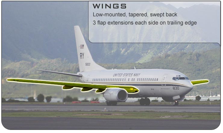 C-40 Wings