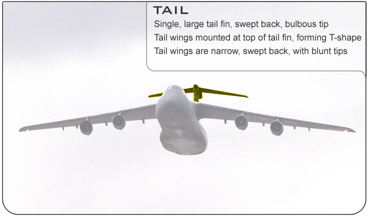 C-5 Tail