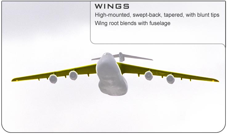 C-5 Wings