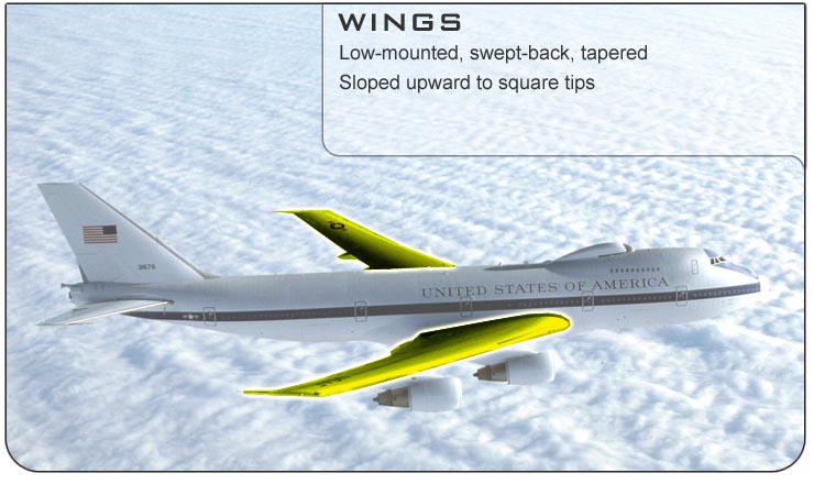 E-4 Wings