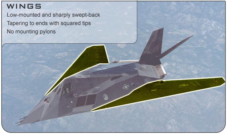 F-117 Wings