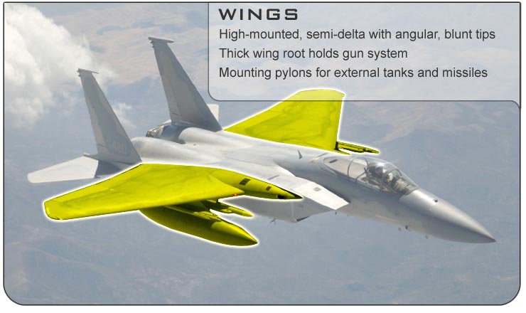 F-15 Wings