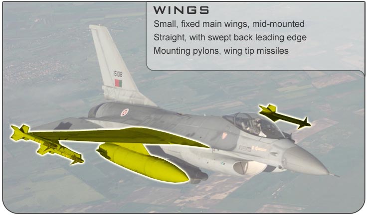 F-16 Wings