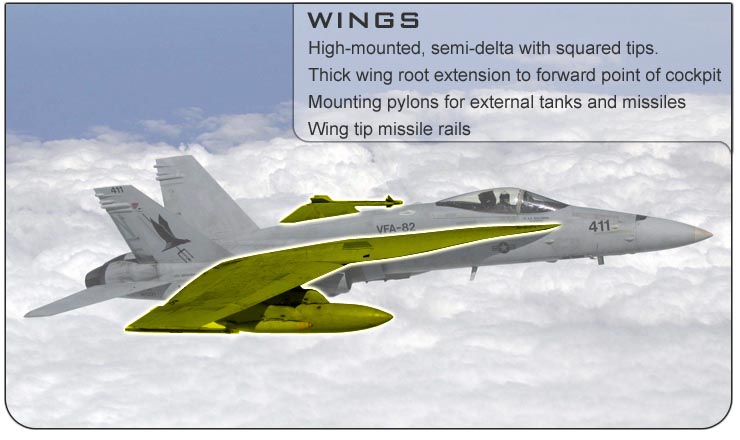 F-18 Wings