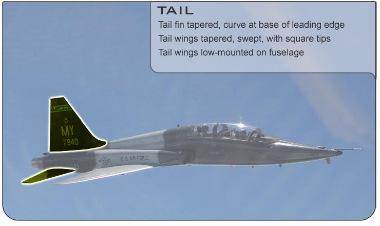 T-38 Tail