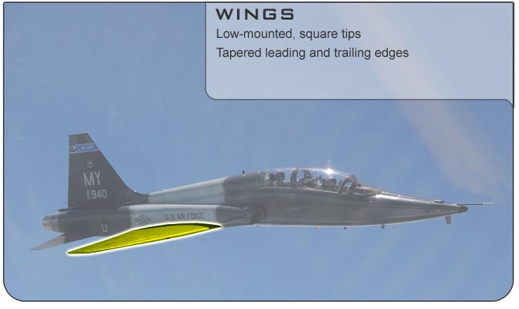 T-38 Wings