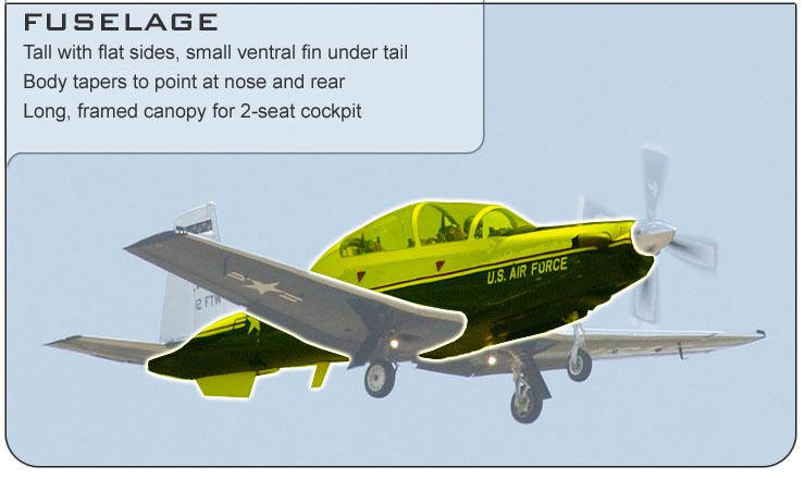 T-6 Fuselage