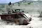 M113 Photo